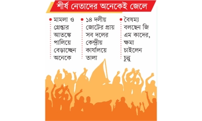 রাজনীতির মাঠে একঘরে আ.লীগের মিত্র দলগুলো