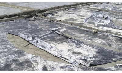 পেকুয়ায় লবণ মাঠে তাণ্ডব, লক্ষাধিক টাকার ক্ষতি