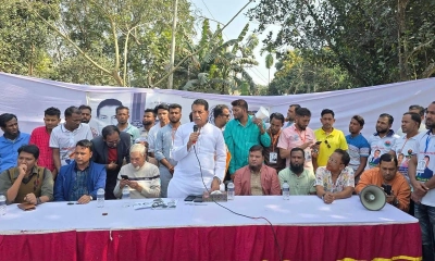 বিএনপির আন্দোলনের ফলেই হাসিনার পতন : খোকন