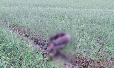 বোমা বিস্ফোরণে উড়ে গেল বসতঘর, প্রাণ গেল যুবকের
