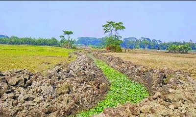গ্রামবাসীর নিজস্ব অর্থায়নে খাল খনন, সরকারি সহায়তার দাবি 