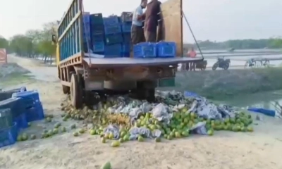 কেমিক্যাল মেশানো ৩ হাজার কেজি অপরিপক্ব আম জব্দ 