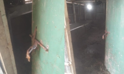 গোয়ালঘরের দরজা ভেঙে ৩টি গরু নিয়ে গেল চোর