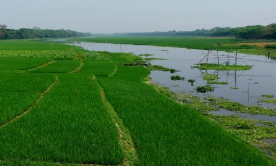 কুমার নদ আজ ধ্বংসের দ্বারপ্রান্তে