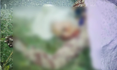 পুঠিয়ায় গাড়ির ধাক্কায় অজ্ঞাত বৃদ্ধার মৃত্যু