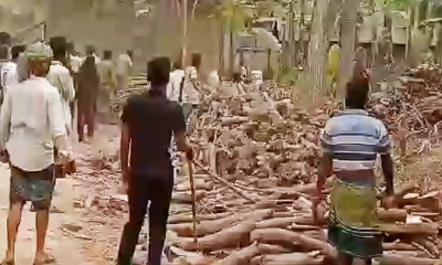 রণক্ষেত্র শৈলকুপা, আহত ১৫