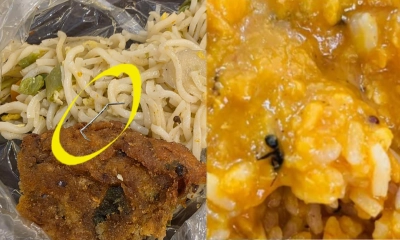 জাবি ক্যাফেটেরিয়ার খাবারে আবারও মাছি, শিক্ষার্থীদের ক্ষোভ