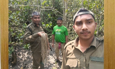 সুন্দরবনে হরিণ শিকারের ২৫ মালা ফাঁদ উদ্ধার