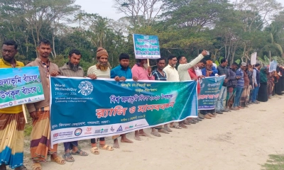 পাথরঘাটায় জলাভূমি রক্ষার দাবিতে মানববন্ধন