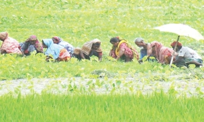 তাপপ্রবাহের দাপটে অতিষ্ঠ  উত্তরাঞ্চলের জনজীবন