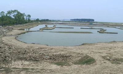 বিপন্ন উপকূলের সুরক্ষাপ্রাচীর প্যারাবন