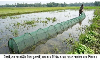 চায়না জালে মাছের হাহাকার