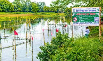 প্রযুক্তিনির্ভর মৎস্য অভয়াশ্রমে নতুন সম্ভাবনা