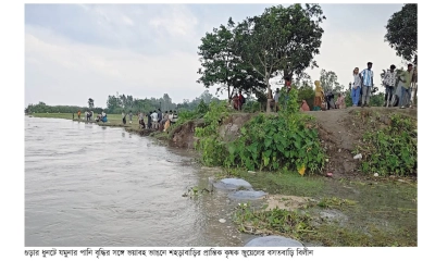 ধুনটে যমুনার ভয়াল ভাঙন