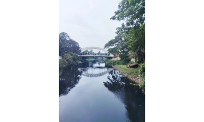 বর্জ্যরে নিষ্ঠুর থাবায়  ডাকাতিয়া নদী