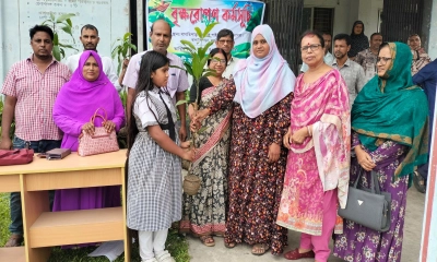 বাগাতিপাড়ায় এসএসএসের উদ্যোগে শিক্ষার্থীদের মাঝে বিনা মূল্যে ফলজ গাছের চারা বিতরণ