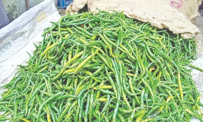 কাঁচামরিচের ডাবল সেঞ্চুরি