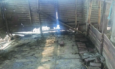 খামারে ডাকাতি, ৪ গরু লুট