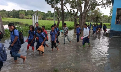 লালপুরে হাঁটু পানিতে চরম দুর্ভোগে শিক্ষার্থীরা