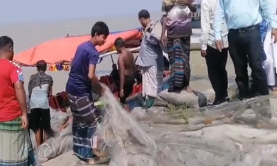 রাজবাড়ীতে ইলিশ ধরায় ২ জেলে আটক, জব্দ জাল