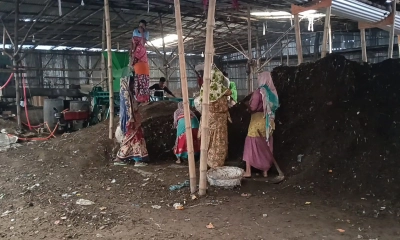 কোম্পানির মোড়কে বিক্রি হচ্ছে নিবন্ধনহীন ও মানহীন জৈব সার