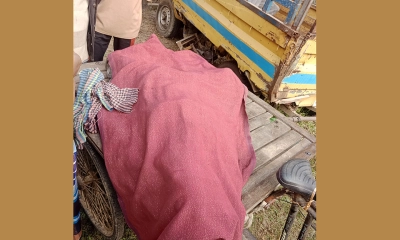 পরিবহনের ধাক্কায় পথচারী নিহত