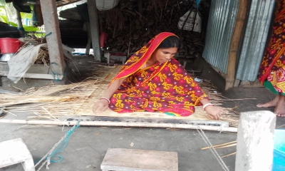 ঐতিহ্যের মাদুরশিল্প বিলুপ্তির পথে
