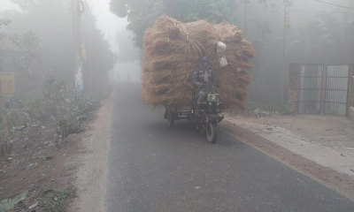 চুয়াডাঙ্গায় জেঁকে বসেছে শীত, বিপাকে খেটে খাওয়া মানুষ