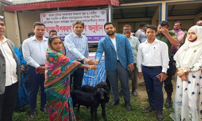 উপজেলা প্রাণিসম্পদ দপ্তরের উদ্যোগে কার্যক্রম অনুষ্ঠিত হয়।  ছবি- রূপালী বাংলাদেশ