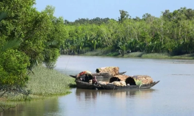 সুন্দরবনে দুই মাস কাঁকড়া আহরণ নিষিদ্ধ