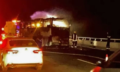 মদিনা যাওয়ার পথে ৪২ ভারতীয় উমরাহ যাত্রী নিহত