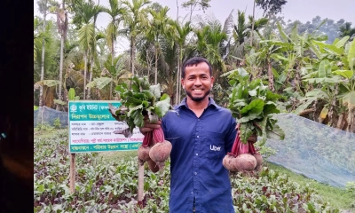 বিট রুট চাষে সফল বেল্লাল। ছবি : রূপালী বাংলাদেশ