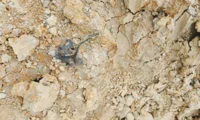 কৃষি জমি থেকে অবিস্ফোরিত মর্টার শেল উদ্ধার