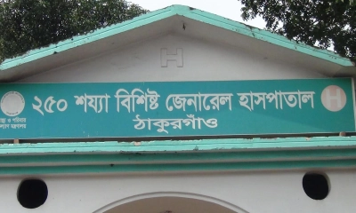 ঠাকুরগাঁওয়ে খেঁকশিয়ালের আক্রমণে গৃহবধূ আহত