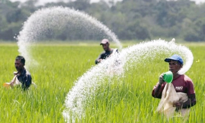 তিন দেশ থেকে সার কিনবে সরকার