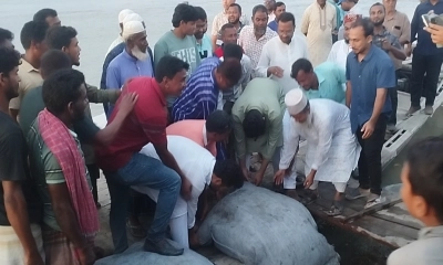 কুড়িগ্রামে ধরলার ভাঙন রোধে জিও ব্যাগ ফেলা কার্যক্রমের উদ্বোধন