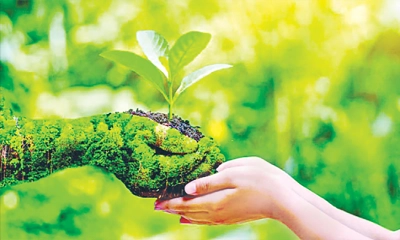 কমছে প্রকৃতির সঙ্গে মানুষের সংযোগ