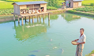 সমন্বিত মাছ চাষের আধুনিক ও  বৈজ্ঞানিক কলাকৌশল