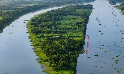 ঘুরতে ঘুরতে গোলকধাঁধায়