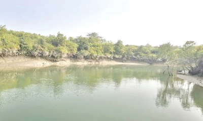 সুন্দরবনে ফের  ৮ বনজীবী  অপহরণ
