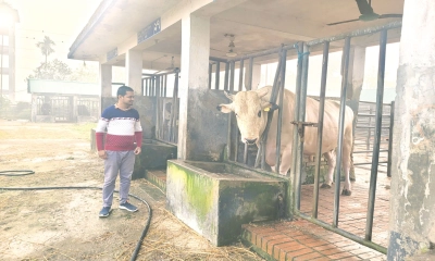গরমে খামারিদের বাড়তি সতর্কতা