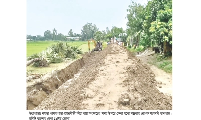 রাস্তা সংস্কারে উপড়ে  ফেলা হলো তালগাছ