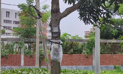 গাছে ঝুলছে নেসকোর মিটার