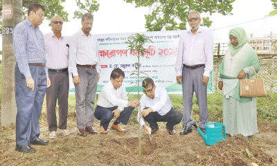 বারিতে বৃক্ষরোপণ  কর্মসূচি উদ্বোধন