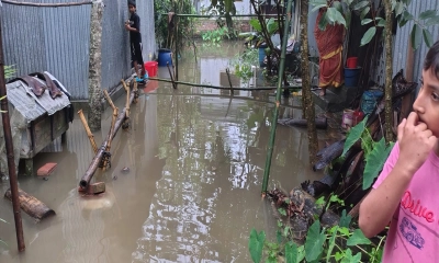 শিবচরে টানা বৃষ্টিতে শতাধিক পরিবার পানিবন্দি, জলাবদ্ধতায় স্থবির জনজীবন