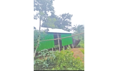 বনের জমি দখলে সহযোগিতা  করেন বিট কর্মকর্তা মানিক