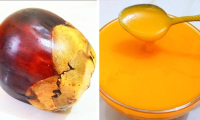 গুণে ভরা পাকা তাল