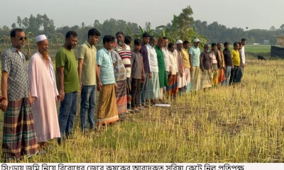 কৃষকের জমির সরিষা কেটে নিল প্রতিপক্ষ