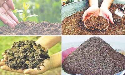 মাটির প্রাণ ও কৃষকের সমৃদ্ধি