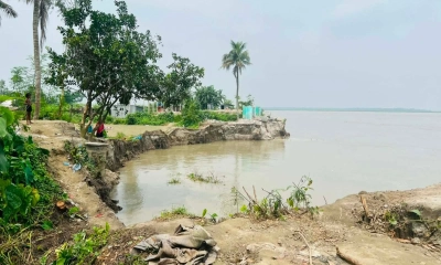 এক ঘণ্টায় নদীগর্ভে  অর্ধশত ঘরবাড়ি
